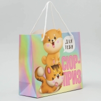 Пакет подарочный, упаковка, &laquo;Сюрприз&raquo;, 25 х 26 х 10 см