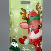 Пакет подарочный, с zip-lock застежкой, "Друзья дедушки Мороза", 15х22см МИКС