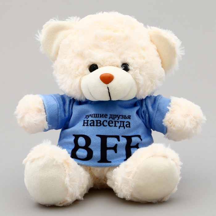 Мягкая игрушка Мишка &laquo;BFF&raquo;, в кофте, 13 см