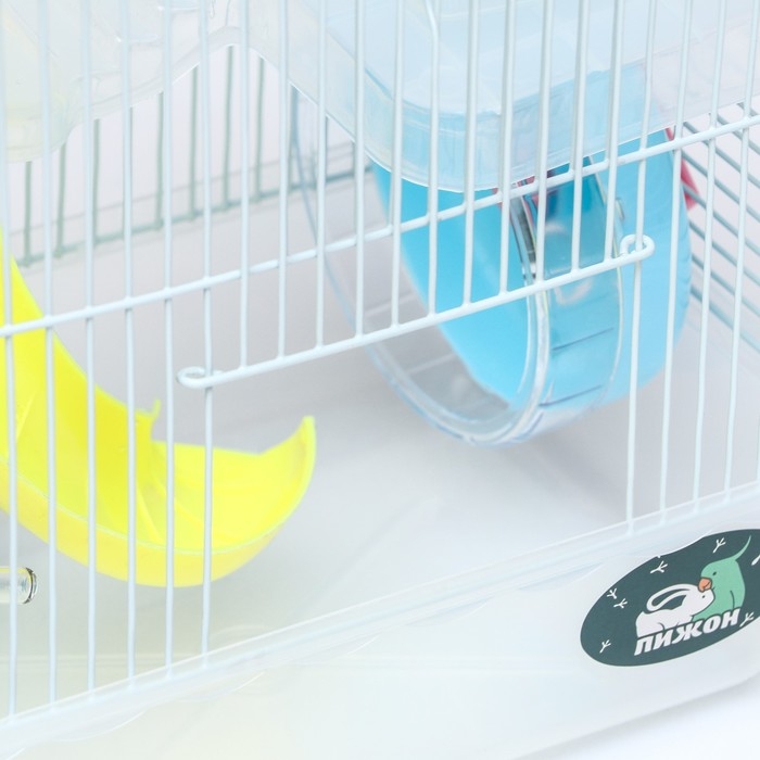 Клетка для грызунов Клетка для грызунов "Пижон", 23 х 17 х 33 см, прозрачная, голубое наполнение