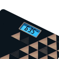 Весы электронные напольные Classic PP1540V0