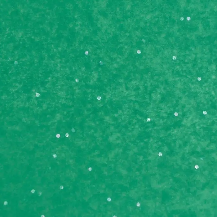 Бумага упаковочная тишью, &laquo;Конфетти&raquo;, тёмно - зелёный, 50&times;66 см