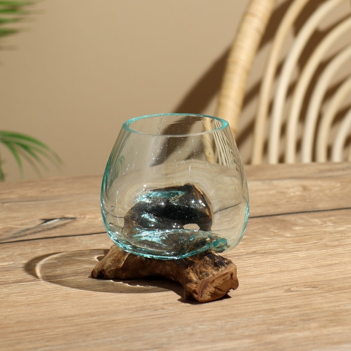 Вазон на коряге "Очарование" 12х10х10 см