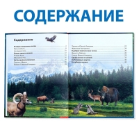 Детская энциклопедия в твёрдом переплёте &laquo;Животные&raquo;, 48 стр.