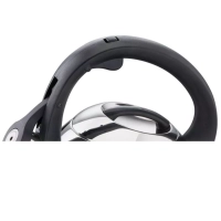 Чайник для плиты Duetto+ N4180110, 2.7 л, стальной