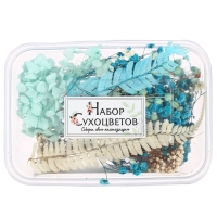 Набор для творчества &laquo;Набор сухоцветов&raquo;, большой, голубой