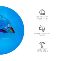 Мяч детский ZABIAKA &laquo;Дельфинчик&raquo;, d=22 см