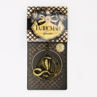 Брелок новогодний, для ключей «Приношу достаток», диам. 4 см Брелок новогодний, для ключей «Приношу достаток», диам. 4 см