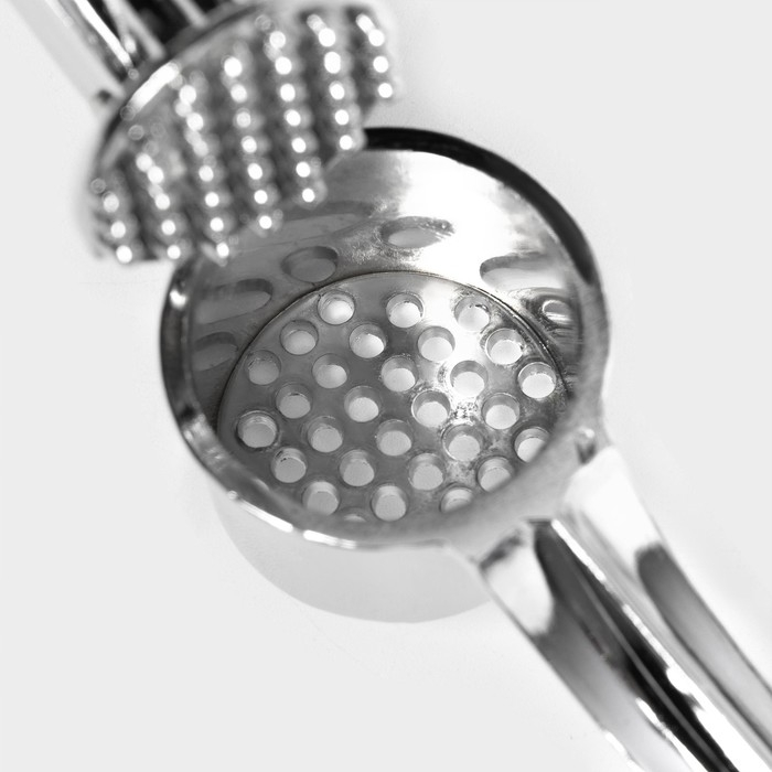 Пресс для чеснока Доляна «Эрнест», 15 см, цвет серебряный Пресс для чеснока Доляна «Эрнест», 15 см, цвет серебряный