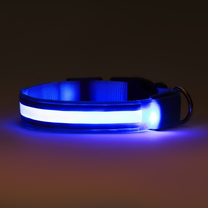 Ошейник с подсветкой Двойная полоса размер XL, ОШ 52-60 х 2,5 см, 3 режима свечения голубой