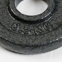 Диск 0,5 кг, d=29 мм Диск 0,5 кг, d=29 мм