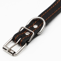 Ошейник кожаный с тиснением на синтепоне, 46 х 2 см, ОШ 25-35 см, чёрный Ошейник кожаный с тиснением на синтепоне, 46 х 2 см, ОШ 25-35 см, чёрный