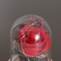 Ночник &laquo;Роза&raquo; LED 3хААА красный 9,5х9,5х14см