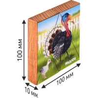 Магнитная головоломка по системе раннего развития &laquo;Индюк&raquo;