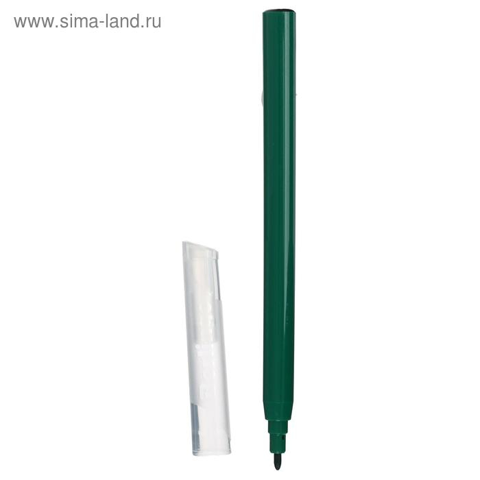 Фломастеры смываемые 24 цвета "Жил-был кот", европодвес