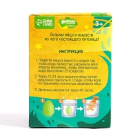 Растущие животные в яйце &laquo;Динозавр&raquo; МИКС