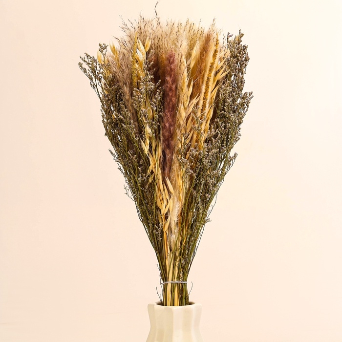 Букет из сухоцветов &laquo;Мечта&raquo;, набор из 85 шт., высота 47 см