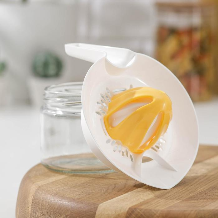 Соковыжималка &laquo;Цитрус&raquo;, 300 мл, цвет МИКС