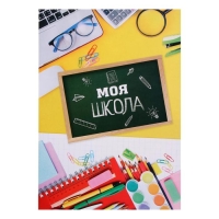 Папка школьная на кольцах &laquo;Портфолио школьника&raquo;, 10 листов-разделителей, 24,5 х 32 см.