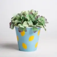 Набор кашпо для цветов 3 в 1 &laquo;Фрукты&raquo;, 0,8 л, 11 х 12 см