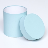 Набор шляпных коробок 5 в 1 "Мята", 20 &times; 20 &times; 20‒13,5 &times; 13,5 &times; 13,5 см