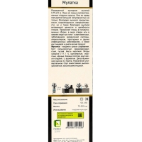 Смородина черная &laquo;Мулатка &raquo;, перспективные сорта, саженец, плодовый, 1 шт., туба