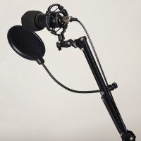 Микрофон конденсаторный Music Life черный: кабель, ветрозащита, стойка