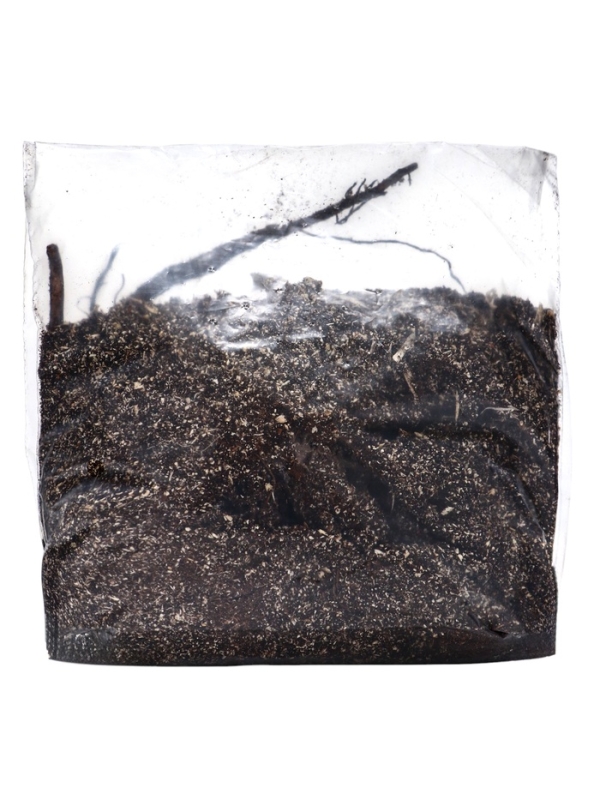 Лилейник "Roswitha", р-р I, 1 шт, Весна 2025, ЭКОНОМ,