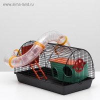 Клетка для грызунов "Саквояж", малая, с лабиринтом, 40 х 25 х 21 см, микс цветов Клетка для грызунов "Саквояж", малая, с лабиринтом, 40 х 25 х 21 см, микс цветов