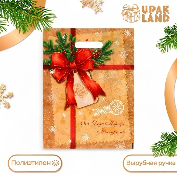 Пакет &laquo;Послание от деда мороза и снегурочки&raquo;, полиэтиленовый с вырубной ручкой, 30&times;40 см