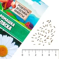 Семена цветов Ромашки "Аляска", 0,3 г