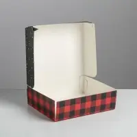 Упаковка для кондитерских изделий &laquo;С Новым годом&raquo;, 20 х 17 х 6 см