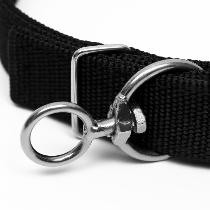 Ошейник двухслойный с вертлюгом, 55 х 2,5 см, полиэстер, черный