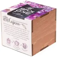 Набор для выращивания &laquo;Экокуб Lite&raquo;, сирень