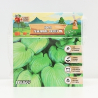 Хоста Guacamole, корневище в пакете с торфогрунтом, р-р I, размер ML,1 шт.