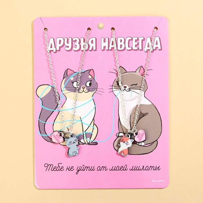 Кулоны парные подвески &laquo;Друзья навсегда&raquo;