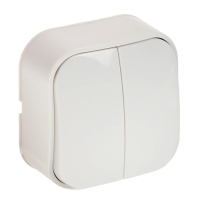 Выключатель Luazon Lighting "МСК", 10 А, 2 клавиши, белый Выключатель Luazon Lighting "МСК", 10 А, 2 клавиши, белый