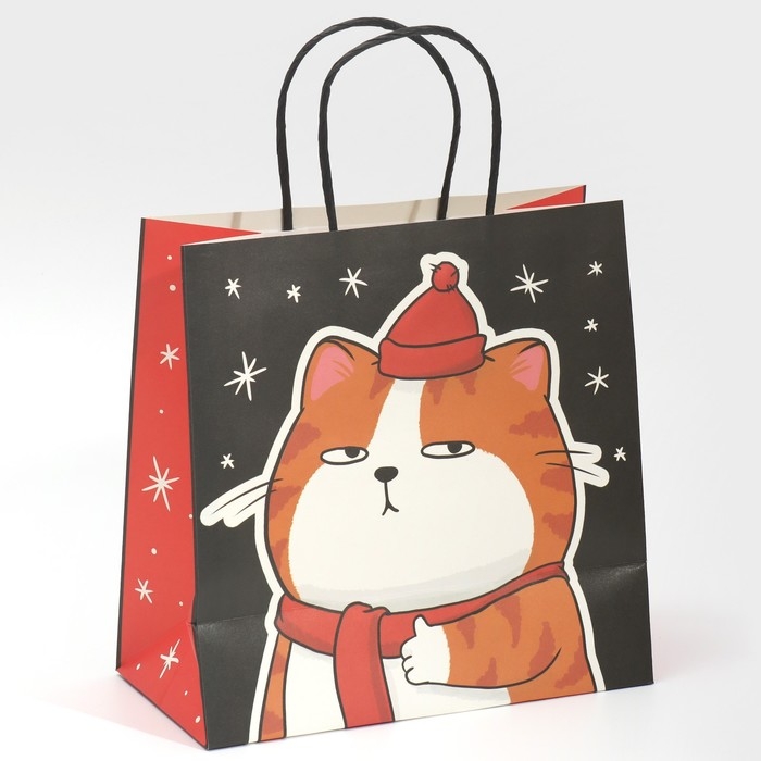 Пакет подарочный новогодний &laquo;Счастье&raquo;, 22 х 22 х 11 см