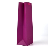 Пакет подарочный под бутылку &laquo;Поздравляю&raquo;, голография, 13 &times; 10 &times; 36 см