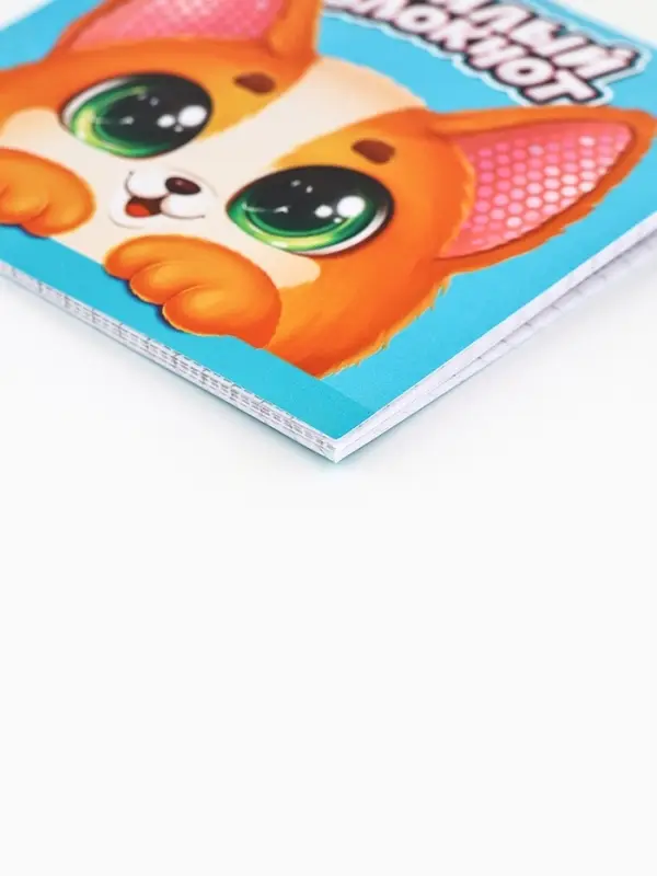 Блокнот 10х10см, 16 л. МИКС "Кругляши"