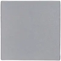 Лейбл светоотражающий Tao, L, серый