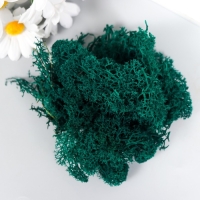 Мох стабилизированный "Морская волна" МИКС 45 гр (+-5 гр)