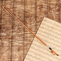Смычок для скрипки Music Life 4/4 Смычок для скрипки Music Life 4/4