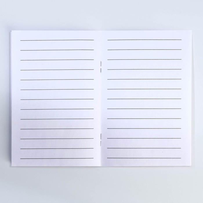 Подарочный набор блокнот - раскраска, мелки 4 шт. &laquo;Настоящий чемпион&raquo;