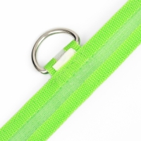 Ошейник с подсветкой, зарядка от USB, размер L, ОШ 41-52 см, 3 режима, зелёный Ошейник с подсветкой, зарядка от USB, размер L, ОШ 41-52 см, 3 режима, зелёный