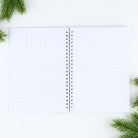 Новый год. Ежедневник в подарочной коробке &laquo;Добро пожаловать в Новый год&raquo;