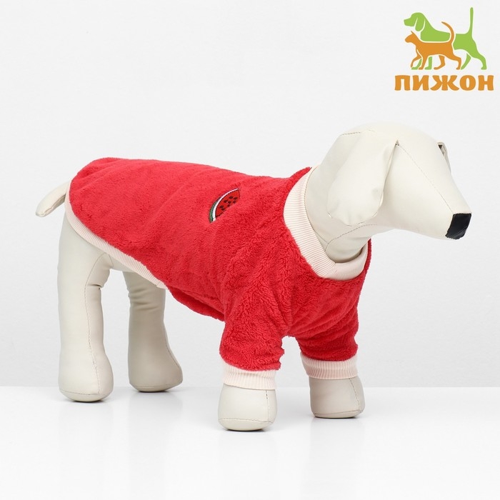 Свитер Свитер "Арбуз", велюр, размер XS (ДС 20, ОШ 21, ОГ 30 см), красный