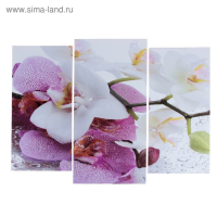 Модульная картина "Краповая орхидея"  (2-25х52; 1-30х60) 60х80 см