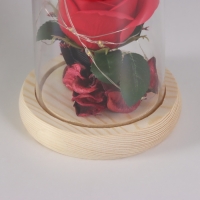 Ночник &laquo;Роза&raquo; LED 3хААА красный 9,5х9,5х14см