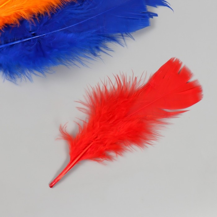 Перо декоративное гусиное Перо декоративное гусиное "Веер" набор 30 шт h=10-15 см